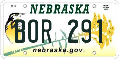 NE license plate BOR291