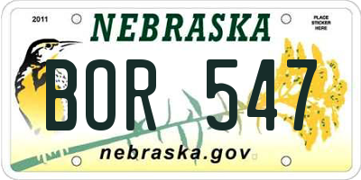 NE license plate BOR547