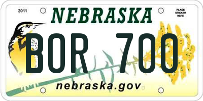 NE license plate BOR700