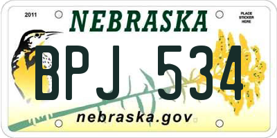 NE license plate BPJ534