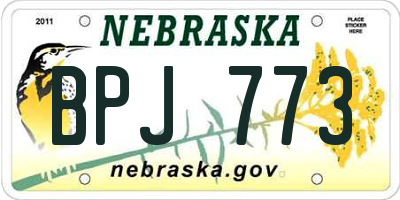 NE license plate BPJ773