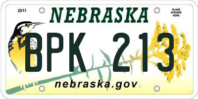 NE license plate BPK213