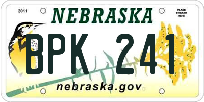 NE license plate BPK241