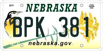 NE license plate BPK381