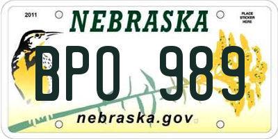 NE license plate BPO989
