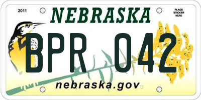 NE license plate BPR042