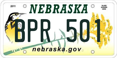 NE license plate BPR501