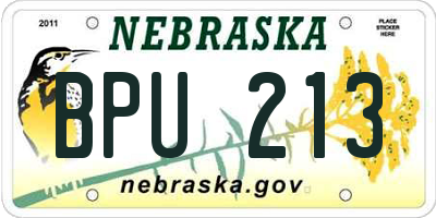 NE license plate BPU213