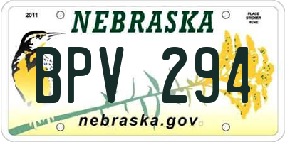 NE license plate BPV294