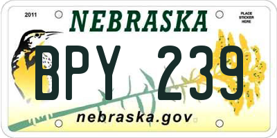 NE license plate BPY239