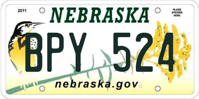NE license plate BPY524