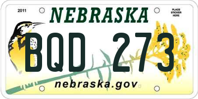 NE license plate BQD273