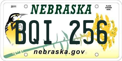 NE license plate BQI256