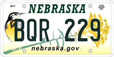 NE license plate BQR229