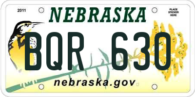 NE license plate BQR630