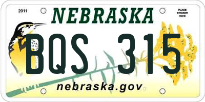 NE license plate BQS315