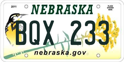 NE license plate BQX233