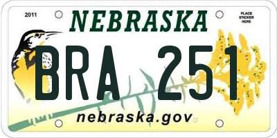 NE license plate BRA251