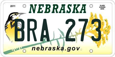 NE license plate BRA273