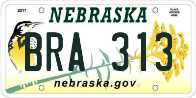 NE license plate BRA313