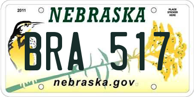 NE license plate BRA517