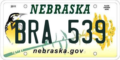 NE license plate BRA539
