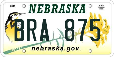 NE license plate BRA875