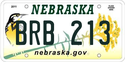 NE license plate BRB213