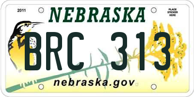 NE license plate BRC313