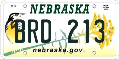 NE license plate BRD213