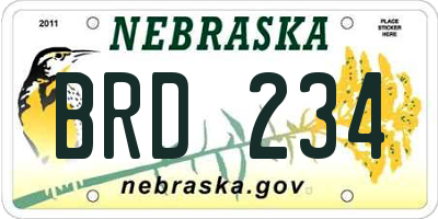 NE license plate BRD234