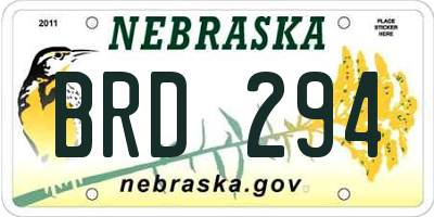 NE license plate BRD294