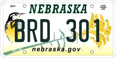 NE license plate BRD301
