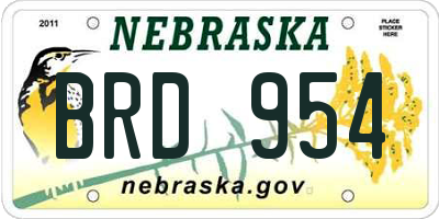 NE license plate BRD954