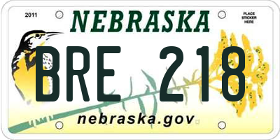 NE license plate BRE218