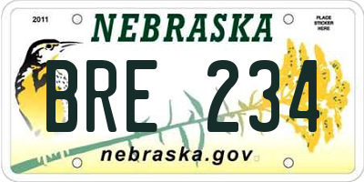 NE license plate BRE234