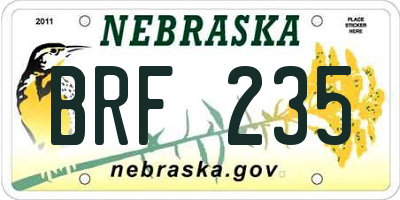NE license plate BRF235