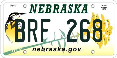 NE license plate BRF268