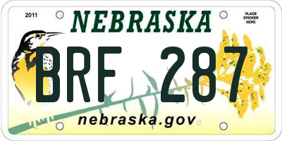 NE license plate BRF287