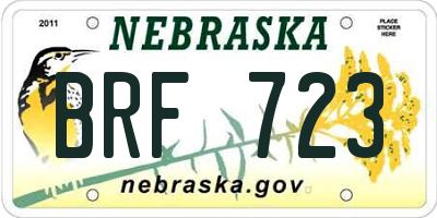 NE license plate BRF723