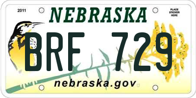 NE license plate BRF729