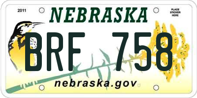 NE license plate BRF758