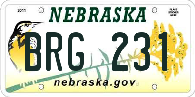 NE license plate BRG231