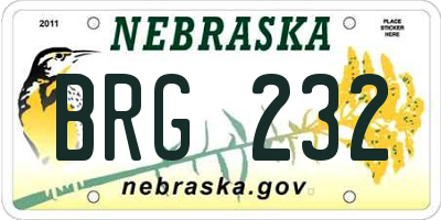NE license plate BRG232