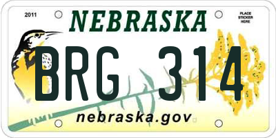 NE license plate BRG314