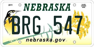 NE license plate BRG547