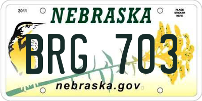 NE license plate BRG703