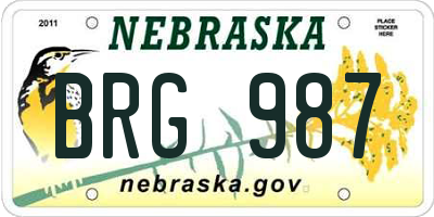 NE license plate BRG987
