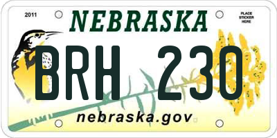 NE license plate BRH230
