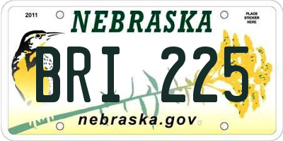 NE license plate BRI225